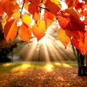 Meet your Posher, Winnie